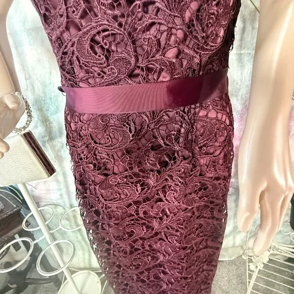 📌Adrianna Papell Rich Illusion Lace Formal - Evening -Mother Bride/ Groom Gown - Picture 5 of 16